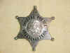 Hallicrafters Special Police Badge 1.jpg (35632 bytes)
